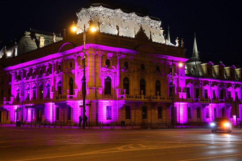 Łódź. Międzynarodowy Dzień Epilepsji w Łodzi. Pałac Poznańskich w lawendowych barwach
