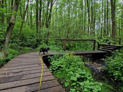 Łódź. To nie Mazury to Łódź. Gdzie znaleźć te wyjątkowe kładki?
