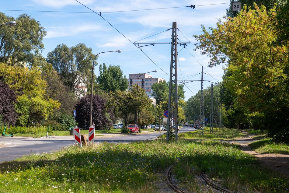 Tramwaje MPK Łódź wrócą na Koziny. Poszukiwany wykonawca remontu torowiska na Srebrzyńskiej