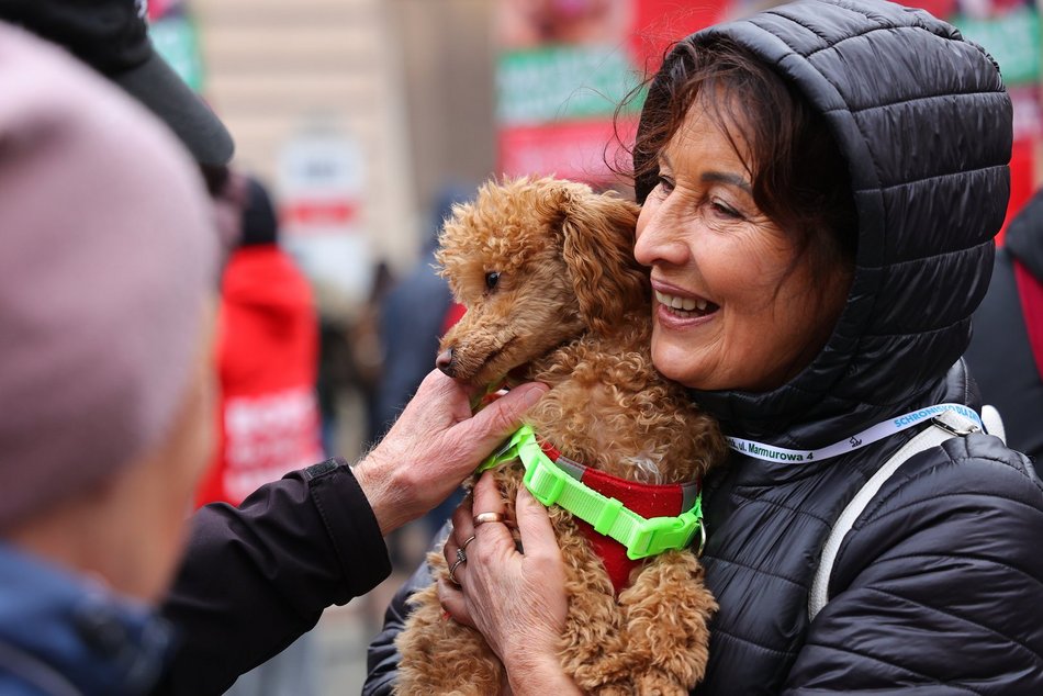 Parada Kundelków w Łodzi