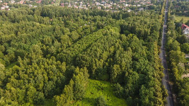 Dwa nowe plany miejscowe dla Łodzi. To okolice ulic Mileszki i Kolumny