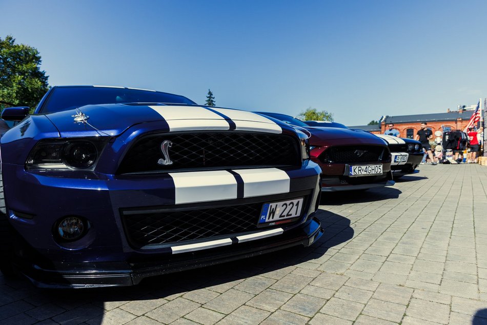 Łódź. Zlot amerykańskich samochodów w Łodzi. Prawdziwe perły motoryzacji