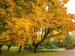 Łódź. Jesienne kadry z parków