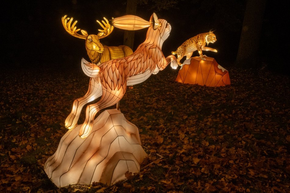 Park Miliona Świateł w Łodzi otwarty! Magiczne zwierzęta opanowały Orientarium Zoo Łódź