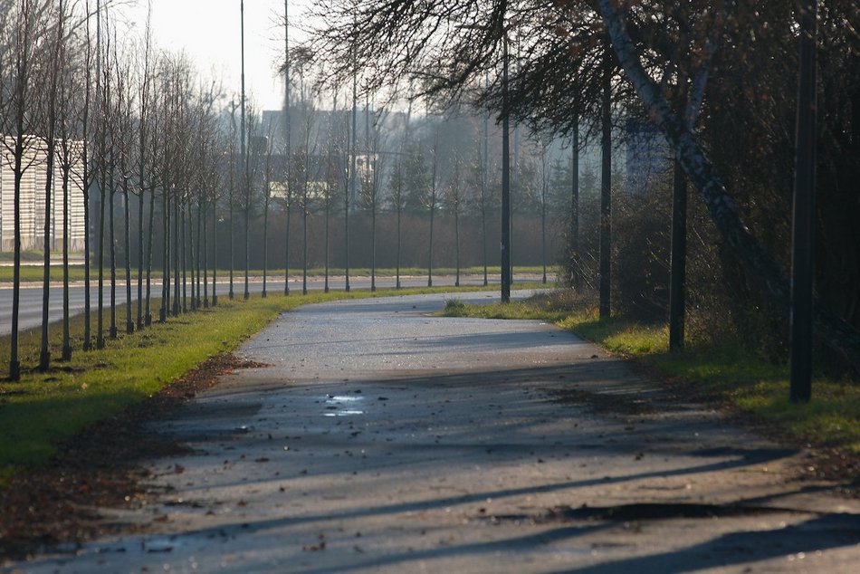 Łódź. Zielona metamorfoza Włókniarzy