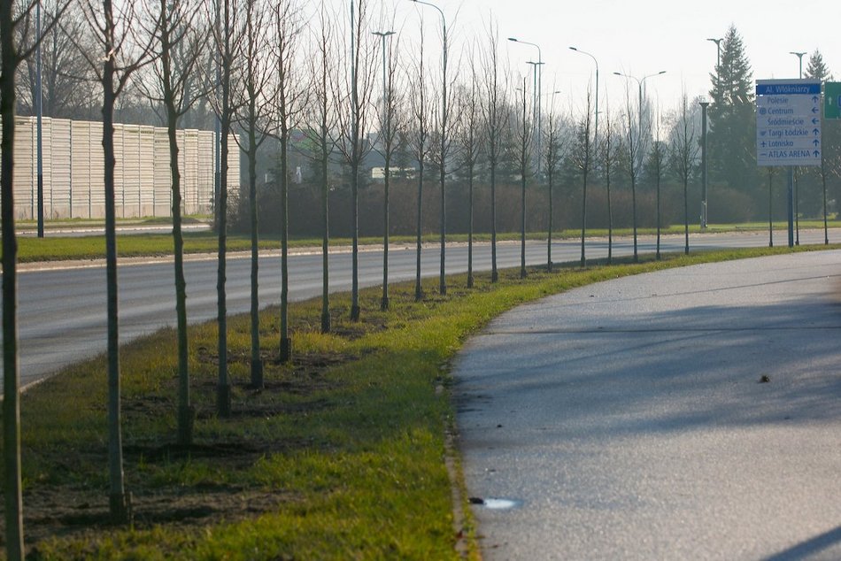 Łódź. Zielona metamorfoza Włókniarzy