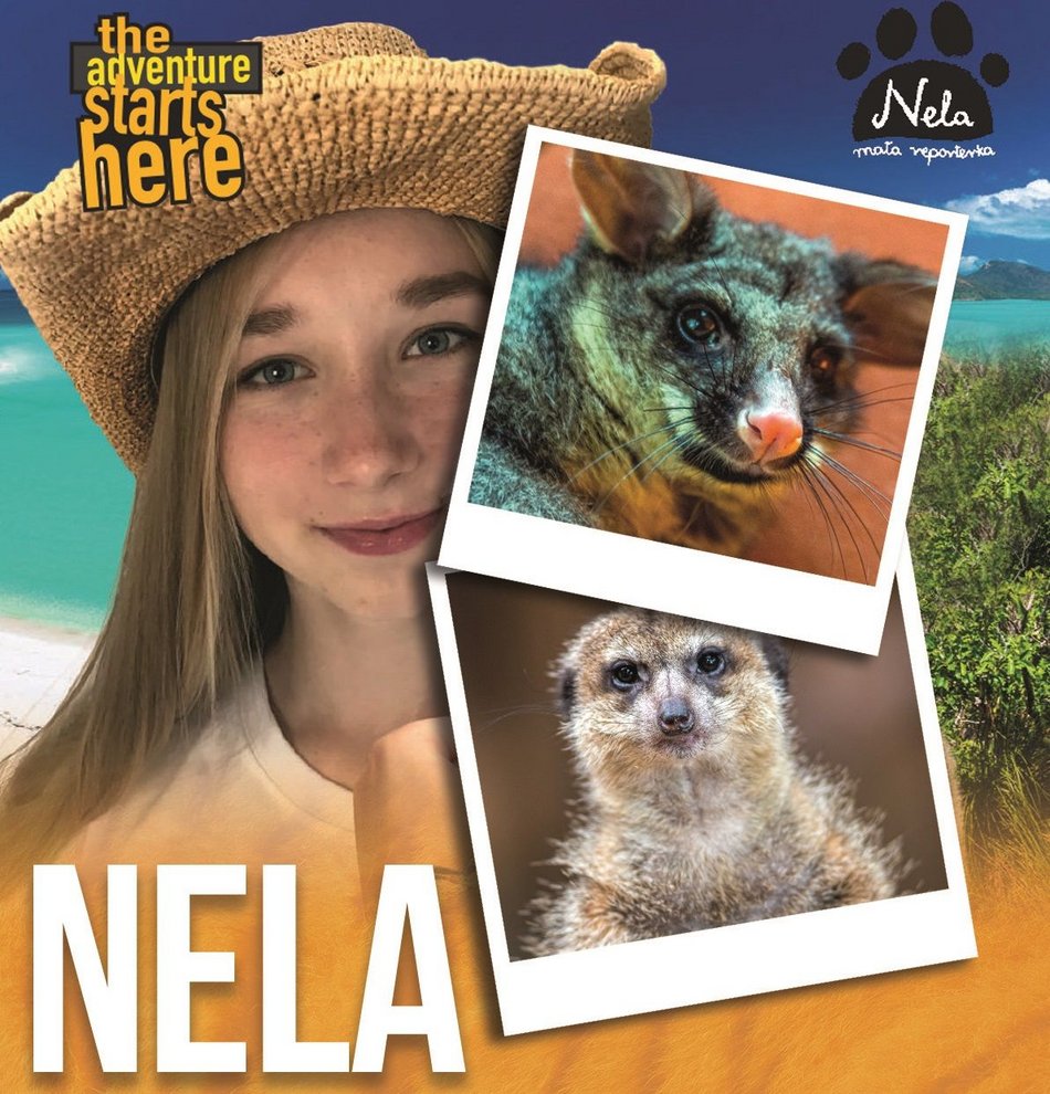 fot. mat. pras. zoo w Łodzi