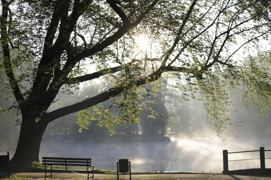Łódź. Zielono mi… Lasy w Łodzi polecają się na wiosenny odpoczynek