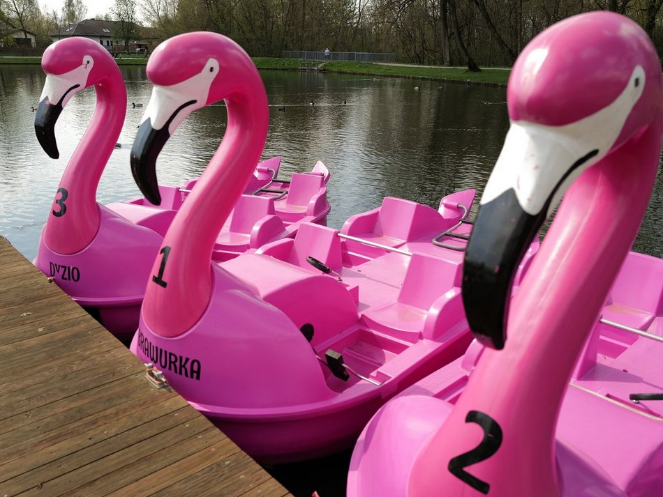 Łódź. Projekt z Budżetu Obywatelskiego Łódź