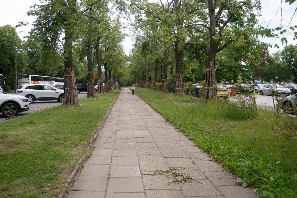 Łódź. Nowa droga rowerowa przy Unii Lubelskiej w Łodzi. Start prac już w wakacje!