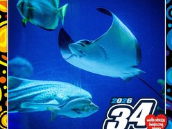 Łódź. Orientarium Zoo Łódź gra z WOŚP 2026 w Łodzi. Weź udział w wyjątkowych aukcjach