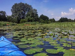Łódź. Dokąd na kajaki w Łódzkiem? Od rodzinnych wycieczek po wymagające trasy