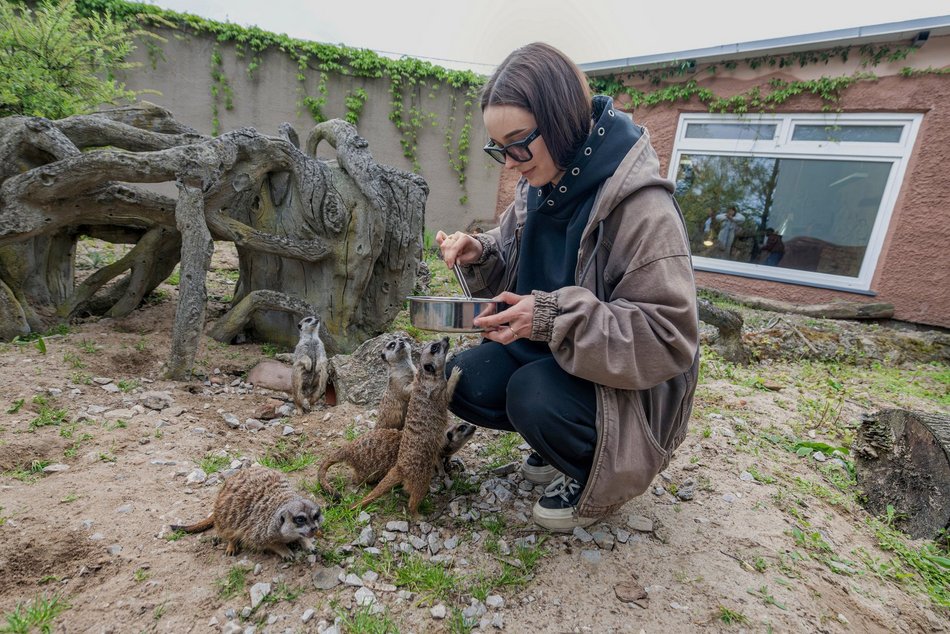 Przeżyj to z bliska! Orientarium Zoo Łódź zaprasza za kulisy