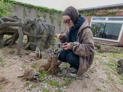 Przeżyj to z bliska! Orientarium Zoo Łódź zaprasza za kulisy