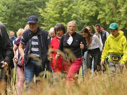 marsz seniorów z kijkami nordic walking