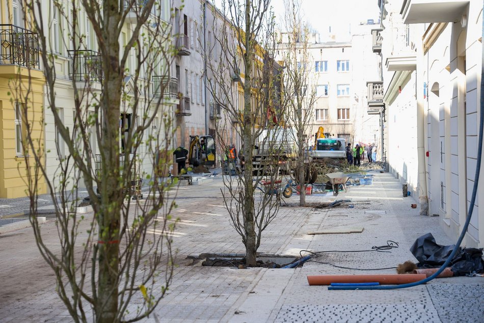 fot. Konrad Ciężki