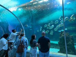 Łódź. Największe atrakcje w Łodzi za darmo? Z Kartą Łodzianina to możliwe!