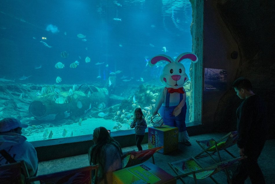 Łódź. Wielkanocny zając w Orientarium Zoo Łódź