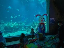 Łódź. Wielkanocny zając w Orientarium Zoo Łódź