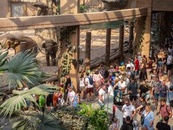 Łódź. Zielona Feta w Orientarium Zoo Łódź. Moc atrakcji na długi weekend