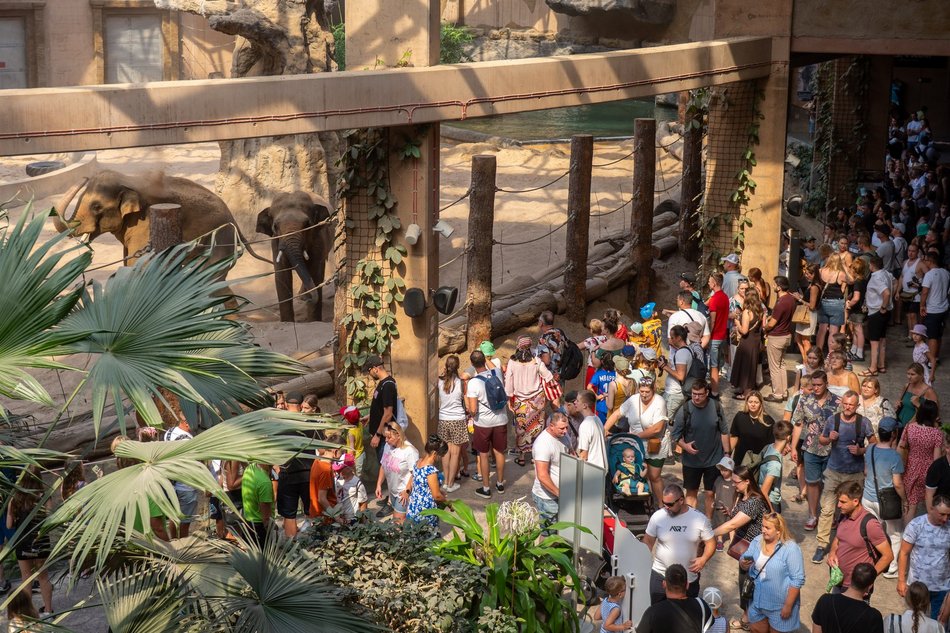 Łódź. Zielona Feta w Orientarium Zoo Łódź. Moc atrakcji na długi weekend