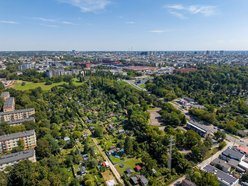 Łódź. Rodzinne Ogrody Działkowe w Łodzi. Miejsca relaksu z prawdziwą ekomisją