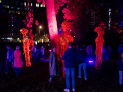 festiwal światła w parku w Łodzi