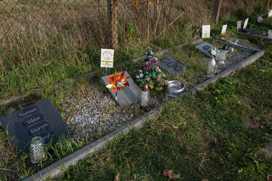 Cmentarz dla zwierząt w Łodzi