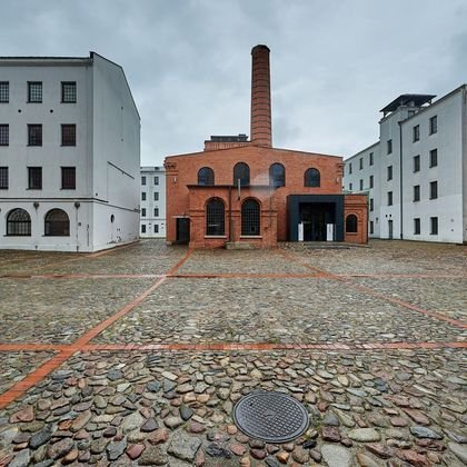 Це остання можливість побачити роботи видатної художниці Хелени Боле-Шацької 