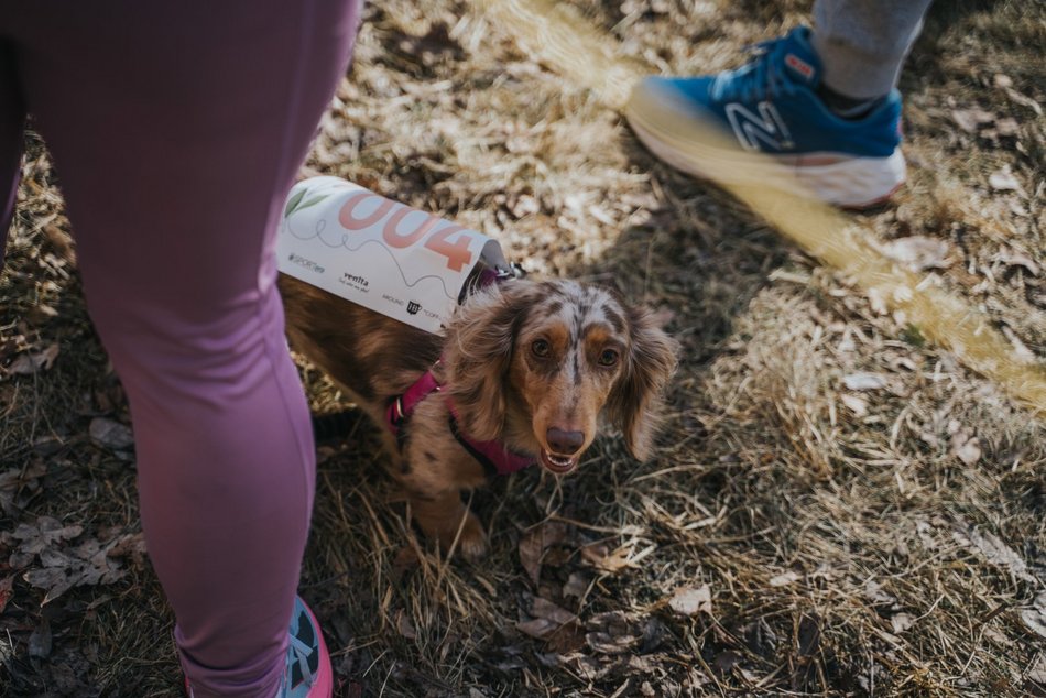 Łódź. Biegowy Dzień Kobiet 2026 w Parku na Zdrowiu w Łodzi. Odszukaj się na zdjęciach!