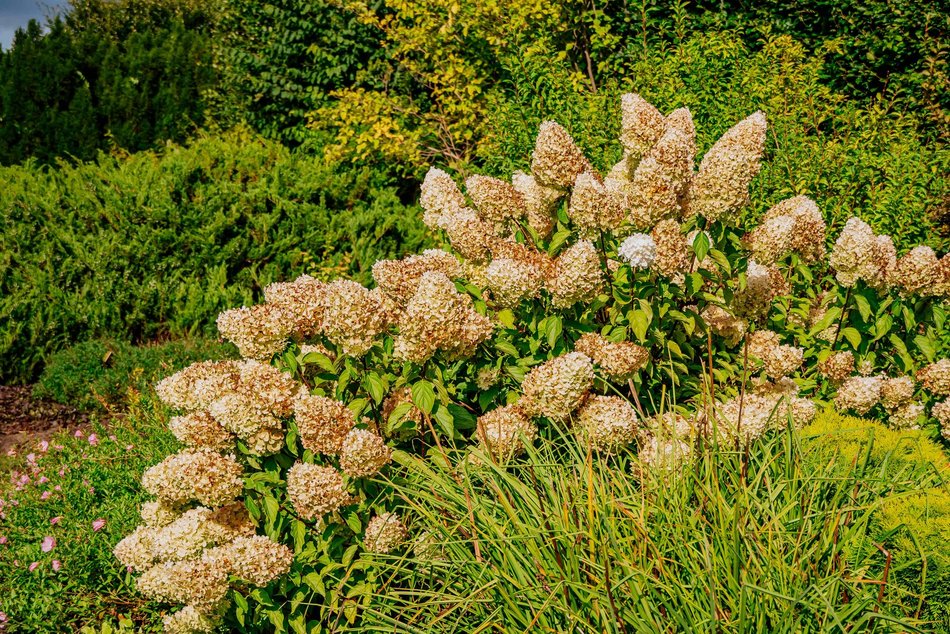Łódź. Jesień w Ogrodzie Botanicznym w Łodzi. Tam z pewnością pokochasz tę porę roku!