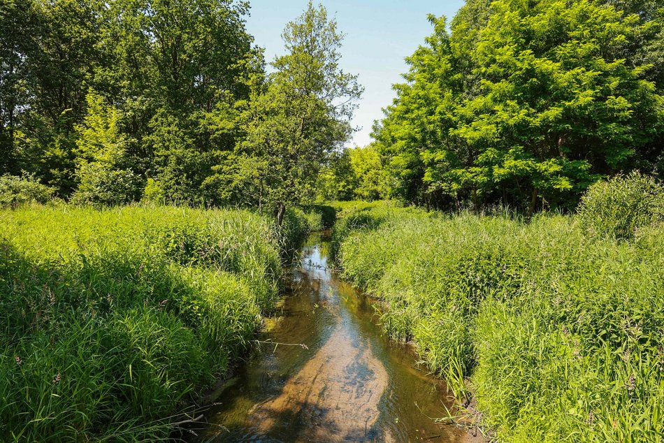 Nowa nazwa parku nad rzeką Ner na Rudzie Pabianickiej. Który pomysł wygrał?