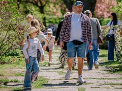 Łódź. Ogród Botaniczny w Łodzi w wiosennej odsłonie