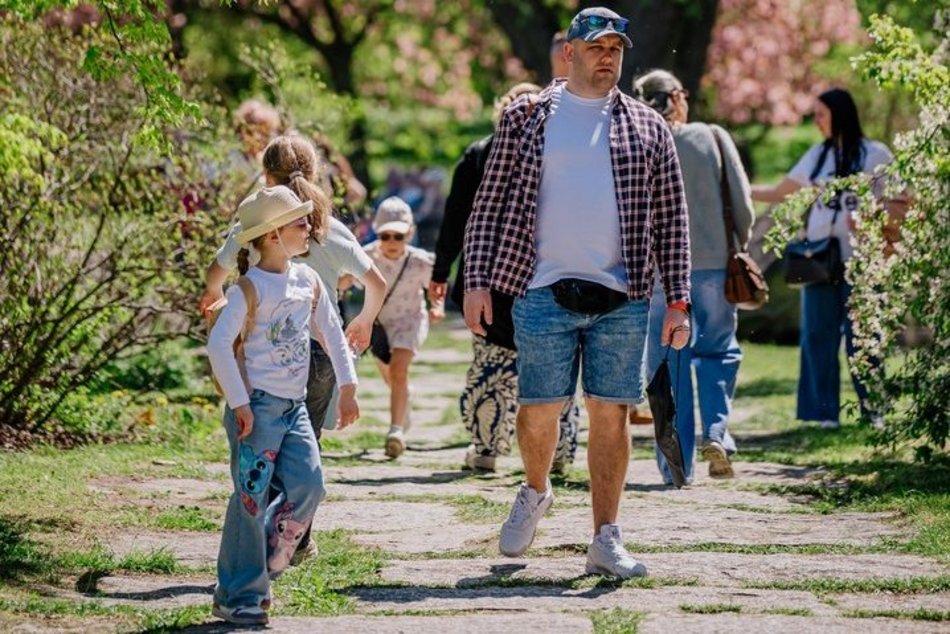Łódź. Ogród Botaniczny w Łodzi w wiosennej odsłonie