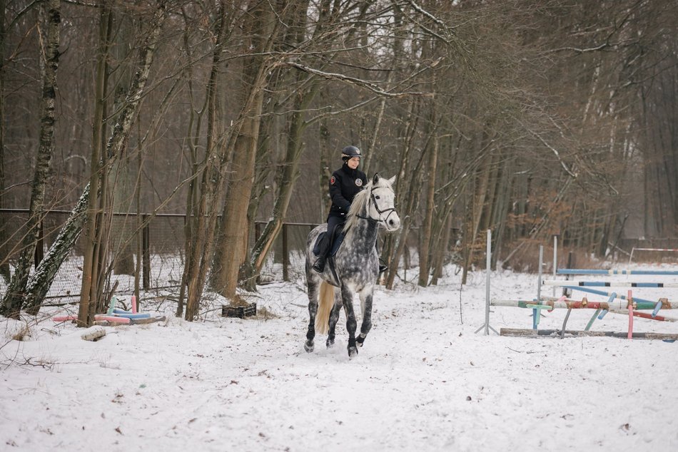 Łódź. Straż Miejska świętuje WOŚP 2026 w Łodzi! Jazda konna, gry i zabawy przy Wycieczkowej