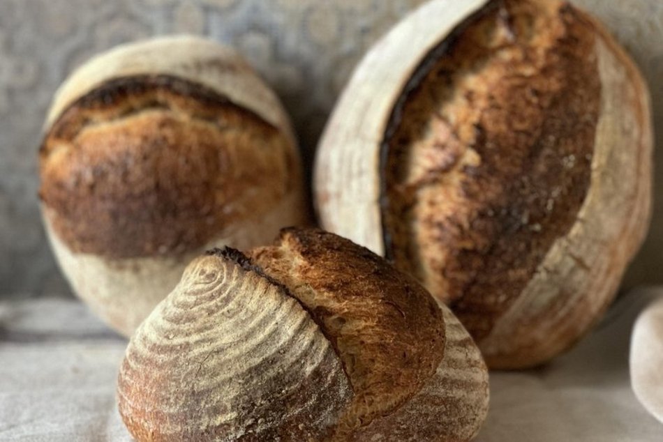 Łódź. Najlepsze piekarnie. Oceny w Google nie pozostawiają wątpliwości!