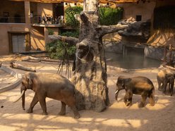 Orientarium Zoo Łódź