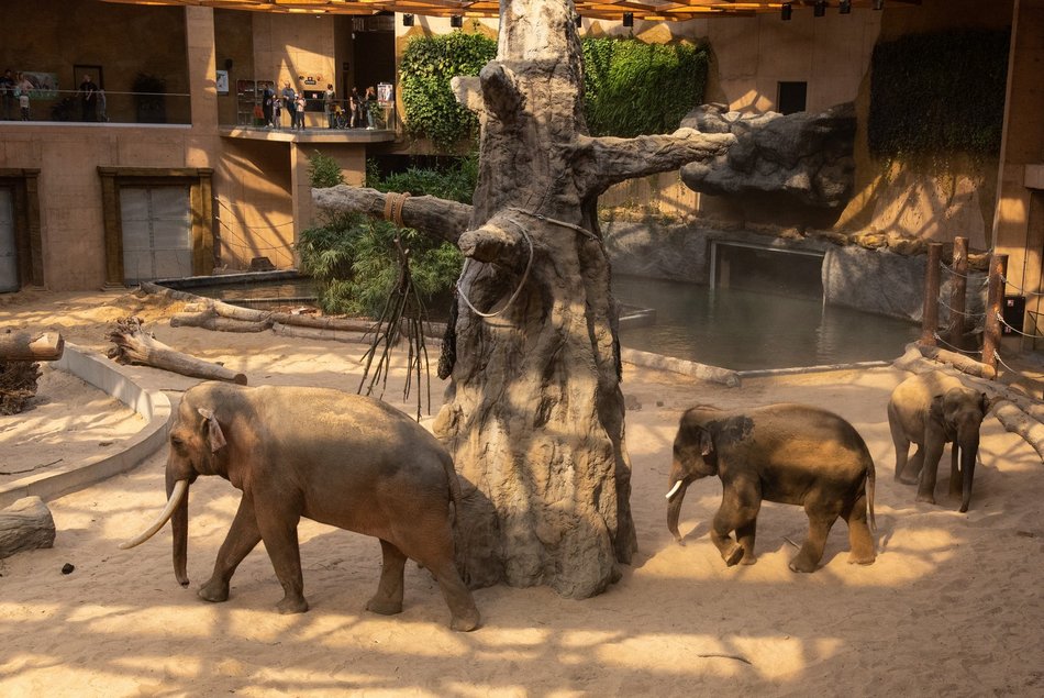 Orientarium Zoo Łódź