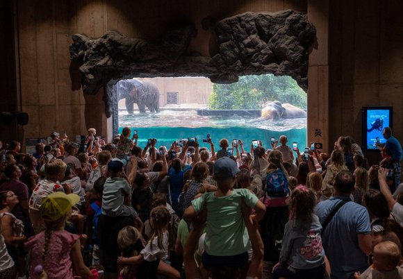 Black Friday w Orientarium Zoo Łódź. Wielka promocja!