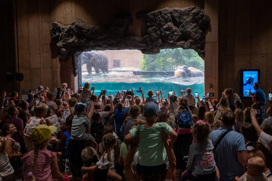 Black Friday w Orientarium Zoo Łódź. Wielka promocja!