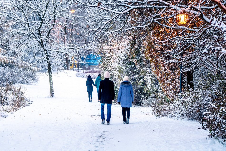 Park Helenów zimą