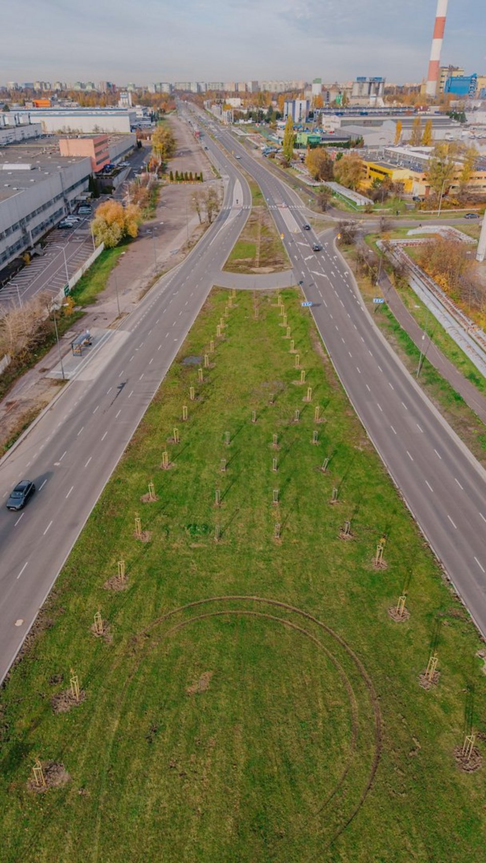 Łódź. Kolejne drzewa w centrum Łodzi!