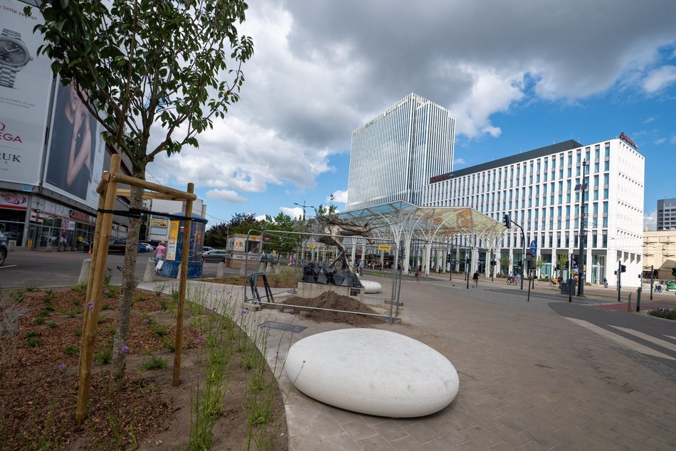 Przy Stajni Jednorożców w Łodzi robi się zielono! Widać już efekty odbetonowania