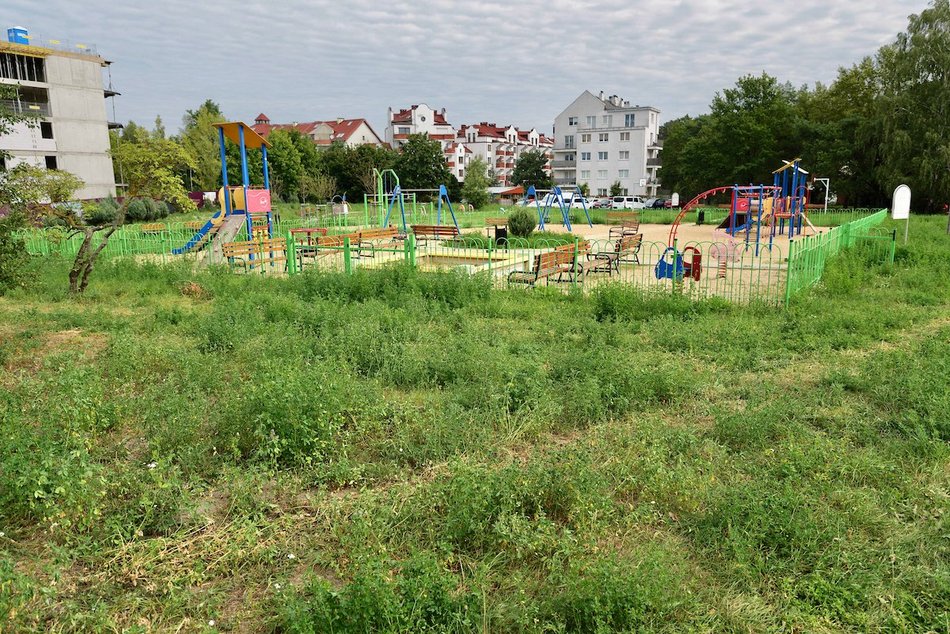 Park Mirabelka w Łodzi. Zielona przestrzeń przy ulicy Ustronnej zyskała nowa nazwę