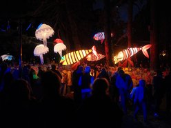 Byliście już w parku Sienkiewicza? Bajkowy świat Light Move Festival 2025 Łódź [ZDJĘCIA]