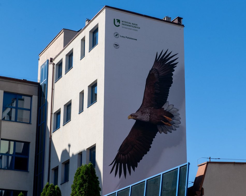 Nowy mural bielik w centrum Łodzi