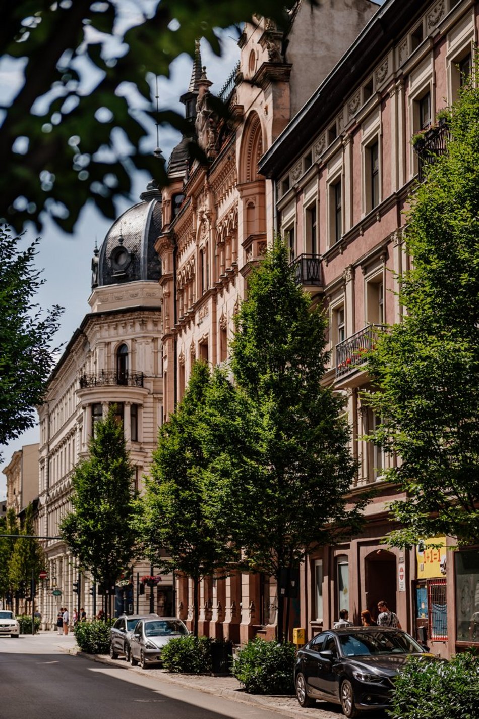 Ulica Rewolucji 1905 r. w Łodzi - szpaler drzew