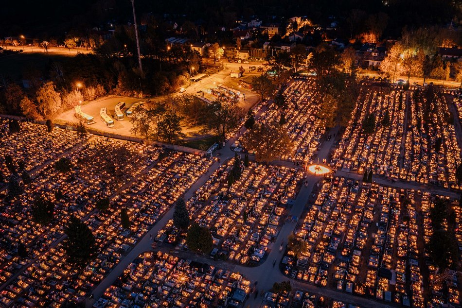 Cmentarz Szczecińska w Łodzi wygląda magicznie. Wybierz się na spacer w zaduszki