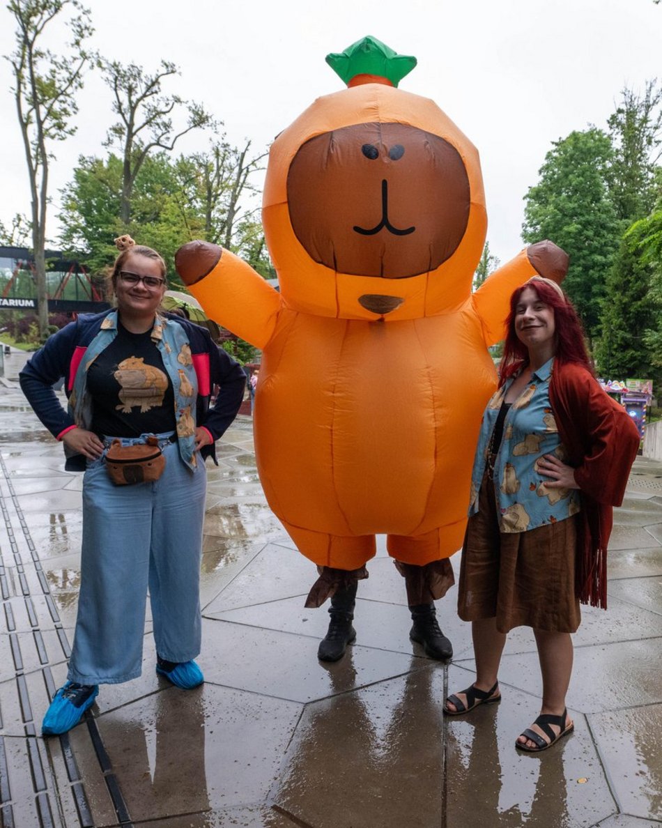 Łódź. Zlot Fanów Kapibary w Orientarium Zoo Łódź. Świetna frekwencja mimo niepogody