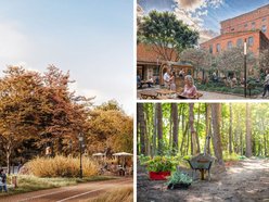 Łódź. Łódź korzysta na prywatnych inwestycjach. Zielone skwery, remonty w szkołach i inwestycje dla seniorów